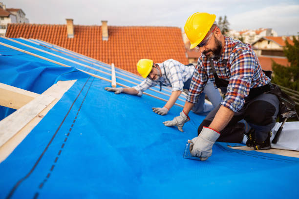 Best Chimney Flashing Repair  in Lakemore, OH